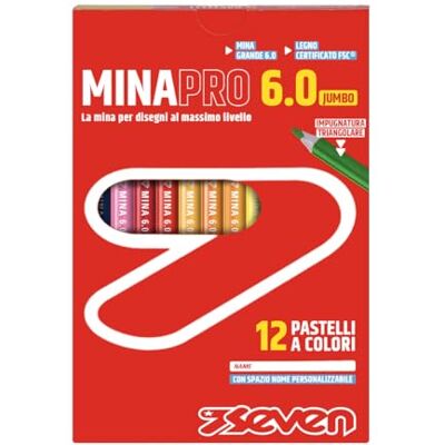 Seven Pastelli Scuola Minapro 6.0 Boîte de 12 crayons de couleur avec espace de nom personnalisable, enfants et adolescents Seven Pastelli Scuola Minapro 6.0 Boîte de 12 crayons de couleur avec espace de nom personnalisable, enfants et adolescents