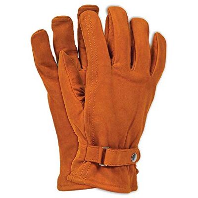 REIS Ris Rbnorthpole10 Lot de 12 gants doublés Marron Taille 10 REIS Ris Rbnorthpole10 Lot de 12 gants doublés Marron Taille 10