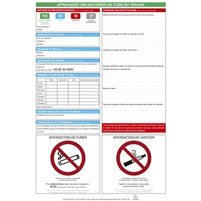 EXACOMPTA Réf. 67130E 1 panneau d'affichages obligatoires du code du travail plastifié Dimension du panneau : 40 x 60 cm EXACOMPTA Réf. 67130E 1 panneau d'affichages obligatoires du code du travail plastifié Dimension du panneau : 40 x 60 cm