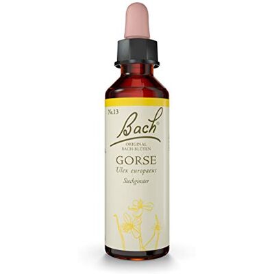 Bach Original -Blüten N°13 Gorse Stechginster Tropfen, 20 ml Solution Bach Original -Blüten N°13 Gorse Stechginster Tropfen, 20 ml Solution