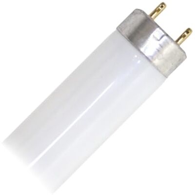 Philips G13 Tube Fluorescent 36w 4000K /840 Blanc Brillant Philips G13 Tube Fluorescent 36w 4000K /840 Blanc Brillant