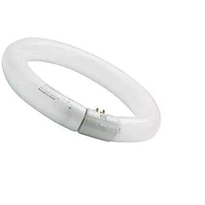 SYLVANIA SYL0001964 Tube Fluorescent Circulaire Standard T9, 32 W, Blanc SYLVANIA SYL0001964 Tube Fluorescent Circulaire Standard T9, 32 W, Blanc