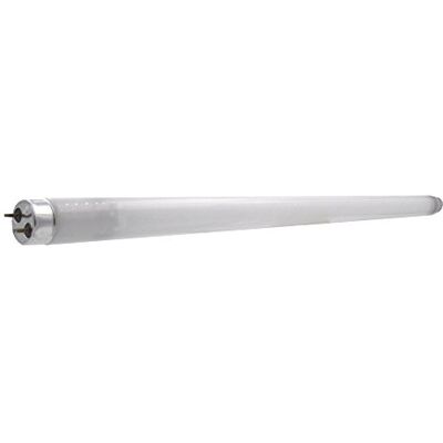 LAES Fluorescent T8 G13, 18 W, blanc, 26 x 604 mm LAES Fluorescent T8 G13, 18 W, blanc, 26 x 604 mm