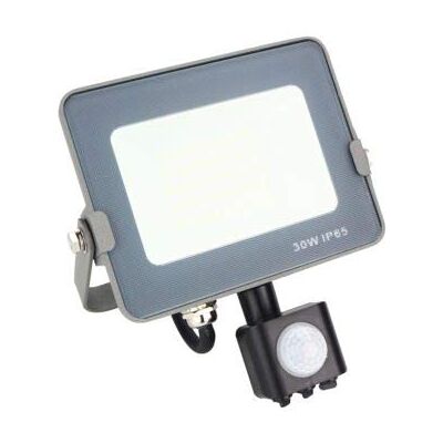 SILVER SANZ, S.A. Silver Electronics Projecteur FORGE+ avec capteur IP65 20 W Température de couleur : 5700 K (lumière froide) Efficacité énergétique A+ Couleur : Gris SILVER SANZ, S.A. Silver Electronics Projecteur FORGE+ avec capteur IP65 20 W Température de couleur : 5700 K (lumière froide) Efficacité énergétique A+ Couleur : Gris