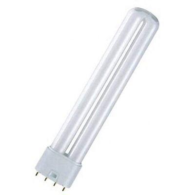 OSRAM Dulux L Lampe fluocompacte 36 W Teinte 830 4 broches Culot 2G11 OSRAM Dulux L Lampe fluocompacte 36 W Teinte 830 4 broches Culot 2G11
