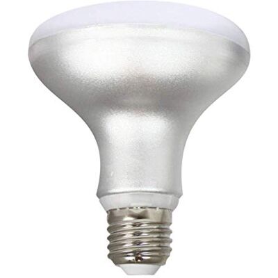 SILVER ELECTRONICS Silver 999007 Lampe LED réflecteur R-90 12 W E-27 L.C.CRI80 SILVER ELECTRONICS Silver 999007 Lampe LED réflecteur R-90 12 W E-27 L.C.CRI80