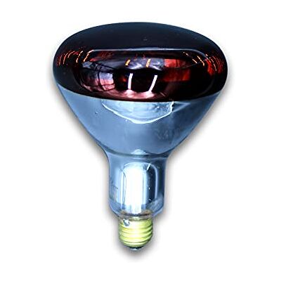 PRENDELUZ Lampe infrarouge réflecteur Culot E27 Dôme rouge 250 W PRENDELUZ Lampe infrarouge réflecteur Culot E27 Dôme rouge 250 W