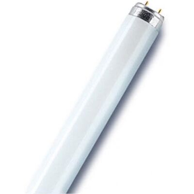 OSRAM Tube fluorescent l58840, en verre, blanc froid, G13, 58 W OSRAM Tube fluorescent l58840, en verre, blanc froid, G13, 58 W