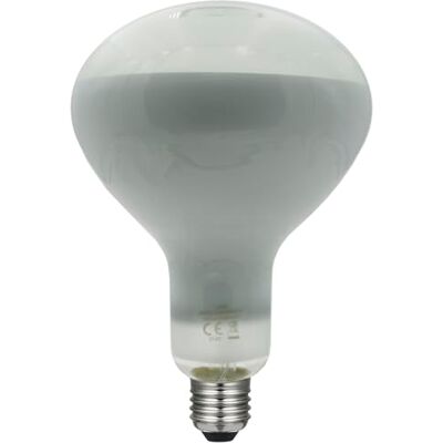 LAES Bougie basique LED mate E14 6 W 6 000 K LAES Bougie basique LED mate E14 6 W 6 000 K