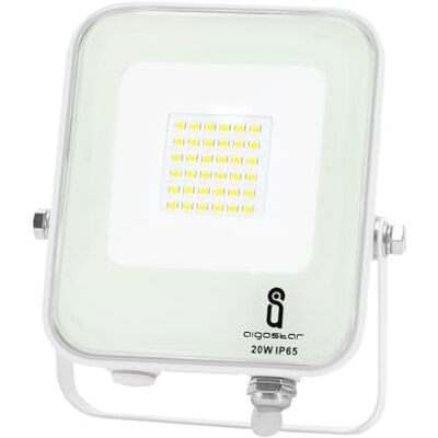 Glowster Projecteur LED blanc 20 W Glowster Projecteur LED blanc 20 W