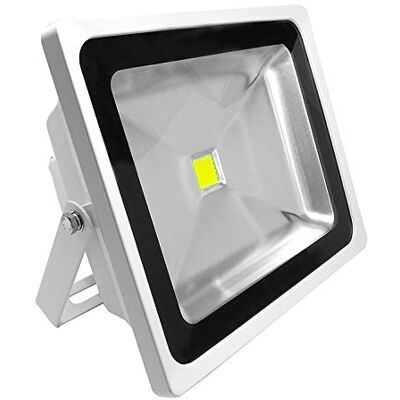 G.W.S ® 50 W Boîtier blanc classique extérieur étanche IP65 SMD Chip Projecteur LED économie d'énergie Lumière de sécurité Blanc chaud G.W.S ® 50 W Boîtier blanc classique extérieur étanche IP65 SMD Chip Projecteur LED économie d'énergie Lumière de sécurité Blanc chaud