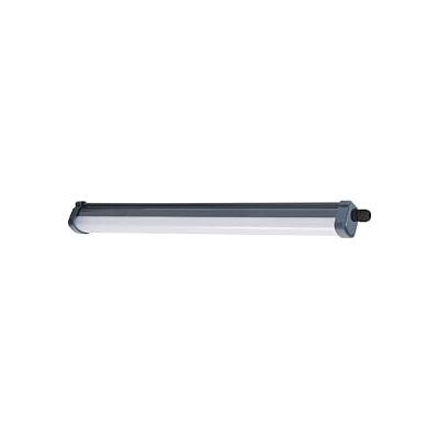Philips ProjectLine wandlamp ovaal wit 1400lm Wit licht Philips ProjectLine wandlamp ovaal wit 1400lm Wit licht
