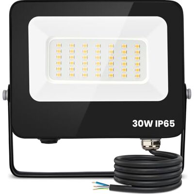 Aigostar Projecteur LED Extérieur 30W,2450 lumen blanche naturelle 4000K Spot LED Extérieur économiseur d'énergie 85%,IP65 Imperméable lumière de Sécurité,pour Jardin,Patio,Cour,Garage Aigostar Projecteur LED Extérieur 30W,2450 lumen blanche naturelle 4000K Spot LED Extérieur économiseur d'énergie 85%,IP65 Imperméable lumière de Sécurité,pour Jardin,Patio,Cour,Garage