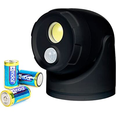 Northpoint Projecteur LED à piles avec détecteur de mouvement et piquet 5000 K blanc neutre 450 lm Minuterie intégrée avec piles D (noir) Northpoint Projecteur LED à piles avec détecteur de mouvement et piquet 5000 K blanc neutre 450 lm Minuterie intégrée avec piles D (noir)