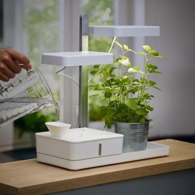 Northpoint Lampe LED pour plantes 30 W Fonction minuterie Pour jardin d'intérieur Northpoint Lampe LED pour plantes 30 W Fonction minuterie Pour jardin d'intérieur