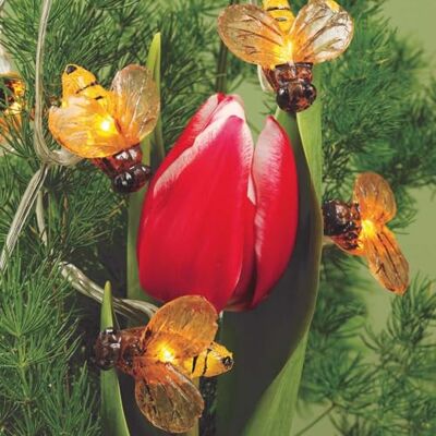 Hellum guirlande lumineuse solaire abeille, guirlande lumineuse extérieure solaire avec 20 LED, guirlande lumineuse abeille 380cm, guirlande lumineuse solaire extérieure 151473 Hellum guirlande lumineuse solaire abeille, guirlande lumineuse extérieure solaire avec 20 LED, guirlande lumineuse abeille 380cm, guirlande lumineuse solaire extérieure 151473