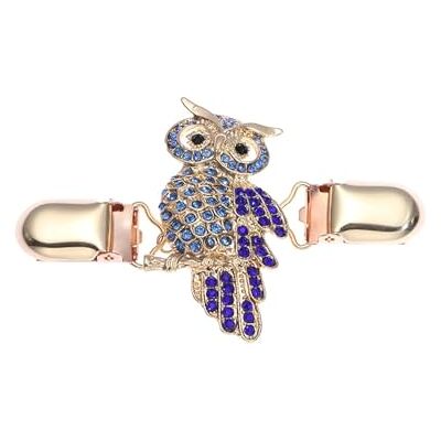 HUDFVIOI Pull Clip Cardigan rétro Fermetures à clip pour vêtements Pinces écharpe Clip Broche Ruban Boucle Porte-Bijoux pour femmes HUDFVIOI Pull Clip Cardigan rétro Fermetures à clip pour vêtements Pinces écharpe Clip Broche Ruban Boucle Porte-Bijoux pour femmes