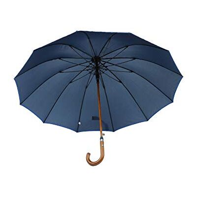 Susino 3516N Parapluie de qualité supérieure en 12 pièces avec ouverture automatique – Résistant aux tempêtes (117 cm de diamètre) / Parapluie avec fibre de verre et coupe-vent, bleu, L Susino 3516N Parapluie de qualité supérieure en 12 pièces avec ouverture automatique – Résistant aux tempêtes (117 cm de diamètre) / Parapluie avec fibre de verre et coupe-vent, bleu, L