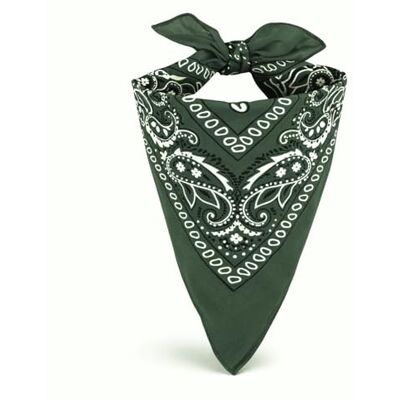 EUROXANTY Bandana 100% coton, motif cachemire, foulard pour homme et femme, unisexe, 53 x 53 cm, 20 couleurs exclusives EUROXANTY Bandana 100% coton, motif cachemire, foulard pour homme et femme, unisexe, 53 x 53 cm, 20 couleurs exclusives