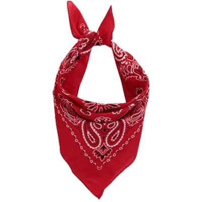Ulla Popken Bandana carré pour femme Motif cachemire, Paprika, taille unique Ulla Popken Bandana carré pour femme Motif cachemire, Paprika, taille unique