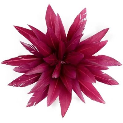 YGMNQAL Broche en forme de plume colorée pour homme et femme, pour vêtements, banquet, mariage, chapeau de cheveux, One Size, Acrylique YGMNQAL Broche en forme de plume colorée pour homme et femme, pour vêtements, banquet, mariage, chapeau de cheveux, One Size, Acrylique