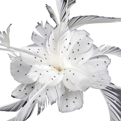 YGMNQAL Broche en forme de plume colorée pour homme et femme, pour vêtements, banquet, mariage, chapeau de cheveux, One Size, Acrylique YGMNQAL Broche en forme de plume colorée pour homme et femme, pour vêtements, banquet, mariage, chapeau de cheveux, One Size, Acrylique