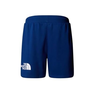 THE NORTH FACE M Easy Regular Short Shorts Homme (lot de 1) THE NORTH FACE M Easy Regular Short Shorts Homme (lot de 1)