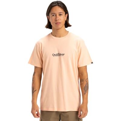 Quiksilver Fineline Ss T-shirt Homme (lot de 1) Quiksilver Fineline Ss T-shirt Homme (lot de 1)