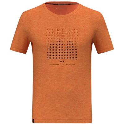 Salewa Eagle Dotted Mtn Am T-shirt M T-shirt Homme Salewa Eagle Dotted Mtn Am T-shirt M T-shirt Homme