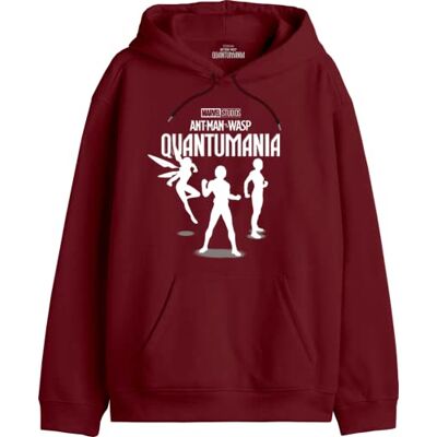 Marvel Press Meantmmsw020 Sweatshirt à capuche Homme (lot de 1) Marvel Press Meantmmsw020 Sweatshirt à capuche Homme (lot de 1)