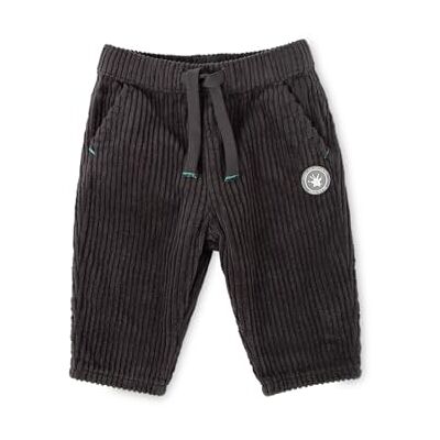 Sigikid Baby Jungen Cordhose Polar Expedition Velours côtelés Bébé garçon Sigikid Baby Jungen Cordhose Polar Expedition Velours côtelés Bébé garçon