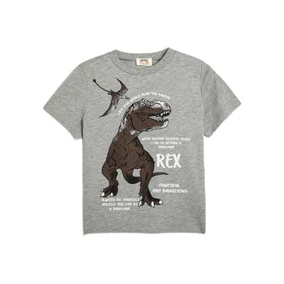 Koton Crew Neck Short Sleeve Dinosaur Printed T-shirt T-shirt Boys's Koton Crew Neck Short Sleeve Dinosaur Printed T-shirt T-shirt Boys's
