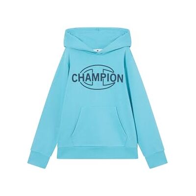 Champion Legacy Boys Sweat à capuche Garçon Champion Legacy Boys Sweat à capuche Garçon