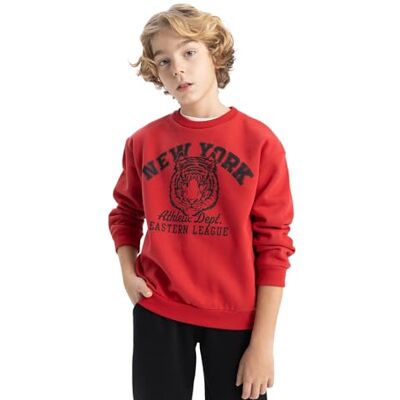 DeFacto Sweat-shirt pour garçon, bordeaux, 4-5 ans DeFacto Sweat-shirt pour garçon, bordeaux, 4-5 ans