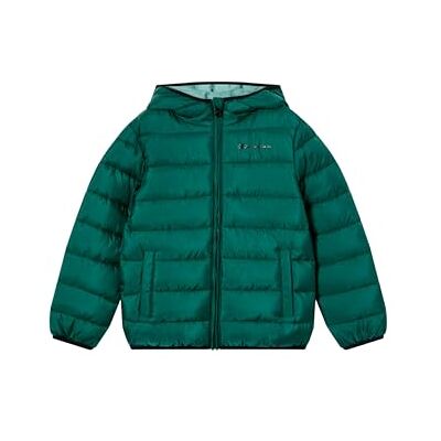 Champion Legacy Veste d'extérieur légère pour garçon Vert Taille XS, Vert, XS Champion Legacy Veste d'extérieur légère pour garçon Vert Taille XS, Vert, XS