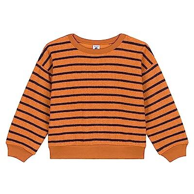 Petit Bateau Sweatshirt Fille, Marron Ecureuil/Bleu Smoking, 10 ans Petit Bateau Sweatshirt Fille, Marron Ecureuil/Bleu Smoking, 10 ans