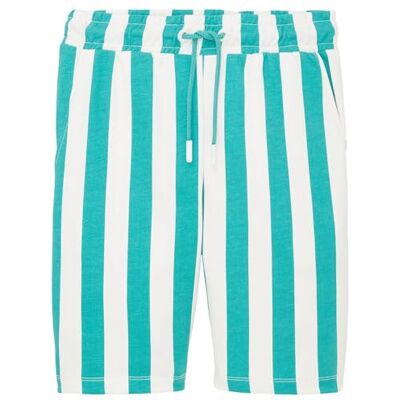 TOM TAILOR Pantalons de survêtement pour Enfants Garçon, 31730 Green Beige Vertical Stripe, 170 TOM TAILOR Pantalons de survêtement pour Enfants Garçon, 31730 Green Beige Vertical Stripe, 170