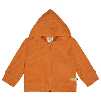 loud + proud aus Frottee mit Punkten, Gots Zertifiziert Veste, Carrot, 62/68 enfants Unisexe, Carotte loud + proud aus Frottee mit Punkten, Gots Zertifiziert Veste, Carrot, 62/68 enfants Unisexe, Carotte