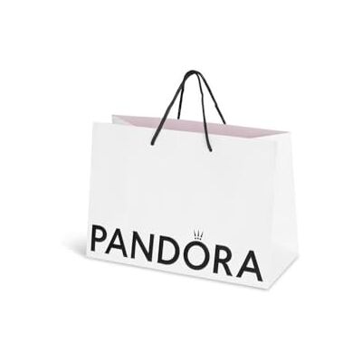 PANDORA Sac moyen écologique pour bijoux : bagues, bracelets, pendentifs, boucles d'oreilles et breloques (21,5 x 16 x 8 cm) (1) PANDORA Sac moyen écologique pour bijoux : bagues, bracelets, pendentifs, boucles d'oreilles et breloques (21,5 x 16 x 8 cm) (1)