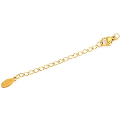 Xinglongs Lot de 100 rallonges de collier en acier inoxydable avec fermoir mousqueton pour bracelet et collier, One Size, Agate Xinglongs Lot de 100 rallonges de collier en acier inoxydable avec fermoir mousqueton pour bracelet et collier, One Size, Agate