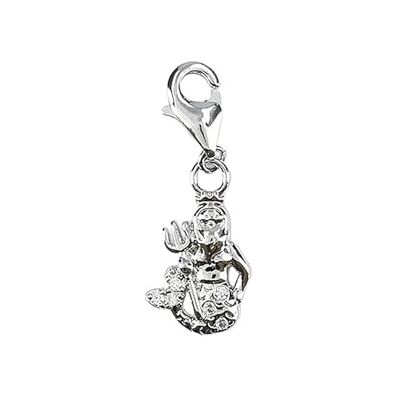 Depesche 11785-051 Charmes Express yourself Pendentif pour colliers et bracelets, Verseau, plaqué argent, comme petit cadeau Depesche 11785-051 Charmes Express yourself Pendentif pour colliers et bracelets, Verseau, plaqué argent, comme petit cadeau