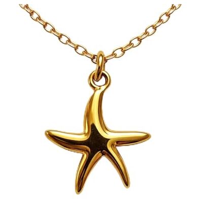 BlackAmazement Collier en acier inoxydable 316L Motif étoile de mer Argenté/doré Pour femme BlackAmazement Collier en acier inoxydable 316L Motif étoile de mer Argenté/doré Pour femme