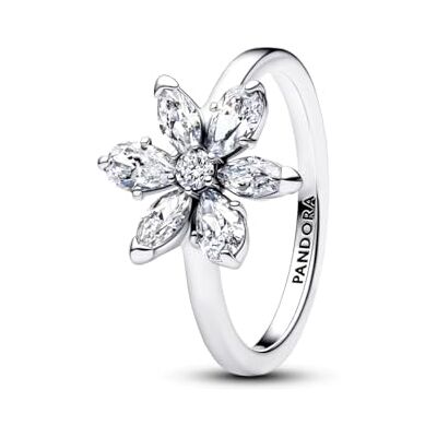 PANDORA Bague pour Femme Argent Sterling 925 193000C02-56 Taille 56 PANDORA Bague pour Femme Argent Sterling 925 193000C02-56 Taille 56