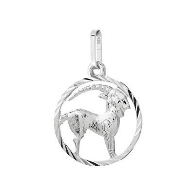 NKlaus Capricorne Signe astrologique Argent massif 925 15mm Pendentif Horoscope Zodiaque 9170 NKlaus Capricorne Signe astrologique Argent massif 925 15mm Pendentif Horoscope Zodiaque 9170