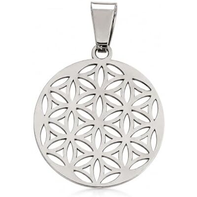 Felicidade Pendentif Fleur de Vie en Acier Inoxydable Symbole d'Harmonie et d'Énergie Positive Couleurs Argent et Doré Idéal pour Femme Bijou Élégant et plein de sens Felicidade Pendentif Fleur de Vie en Acier Inoxydable Symbole d'Harmonie et d'Énergie Positive Couleurs Argent et Doré Idéal pour Femme Bijou Élégant et plein de sens