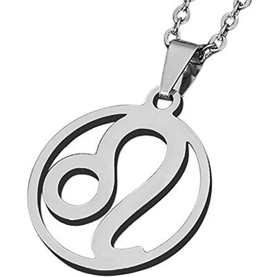 ZENSE Collier zodiaque Lion pour homme ZP0238, diamètre 2 cm, avec chaîne ZENSE Collier zodiaque Lion pour homme ZP0238, diamètre 2 cm, avec chaîne