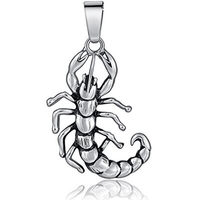 DonDon Pendentif en forme de scorpion pour homme Acier inoxydable Pochette en velours noire incluse DonDon Pendentif en forme de scorpion pour homme Acier inoxydable Pochette en velours noire incluse
