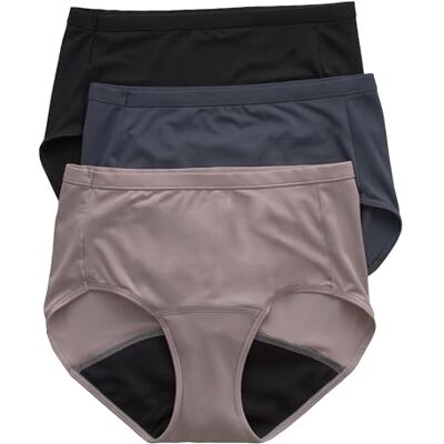 Hanes Women's Fresh & Dry Brief Underwear 3-pack Fresh & Dry Lot de 3 sous-vêtements Femme (lot de 3) Hanes Women's Fresh & Dry Brief Underwear 3-pack Fresh & Dry Lot de 3 sous-vêtements Femme (lot de 3)