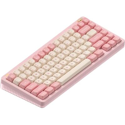 nuphy Halo75 V2 Clavier de jeu mécanique 75 % sans fil remplaçable à chaud, clavier RVB 83 touches avec rétroéclairage, prend en charge Bluetooth/2,4 GHz/USB-C (Pink Mint (37gf)) nuphy Halo75 V2 Clavier de jeu mécanique 75 % sans fil remplaçable à chaud, clavier RVB 83 touches avec rétroéclairage, prend en charge Bluetooth/2,4 GHz/USB-C (Pink Mint (37gf))