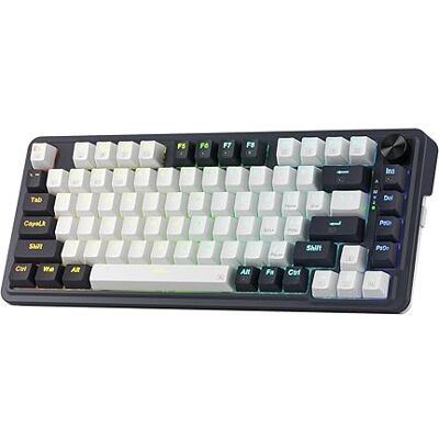 Redragon K673 PRO Clavier de jeu sans fil Gasket RGB 75%, 3 modes, 81 touches, clavier mécanique compact avec socle remplaçable à chaud, bouton rotatif spécial et coussinets amortissants du bruit, Redragon K673 PRO Clavier de jeu sans fil Gasket RGB 75%, 3 modes, 81 touches, clavier mécanique compact avec socle remplaçable à chaud, bouton rotatif spécial et coussinets amortissants du bruit,